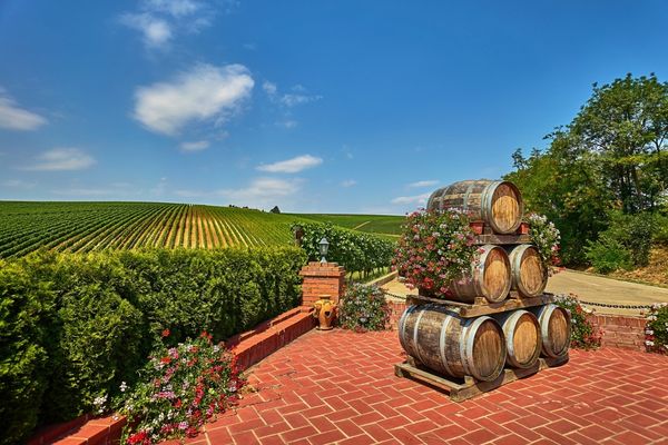 September harvest means here one thing - WINE!